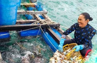 Tỉnh Kiên Giang xác định kinh tế biển sẽ là hướng phát triển chủ lực trong thời gian tới