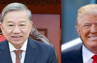Tối 11-11, Tổng Bí thư Tô Lâm điện đàm chúc mừng ông Donald Trump đắc cử Tổng thống.