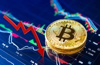 Các chuyên gia đều cho rằng cần có khung pháp lý để quản lý các loại tiền kỹ thuật số.