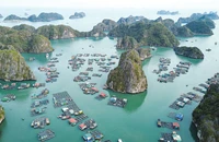 Một góc khu vực nuôi cá lồng bè trên biển tại huyện Cát Hải.