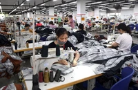 Hợp tác Việt - Mỹ: Hoãn áp thuế đối ứng, đôi bên cùng có lợi