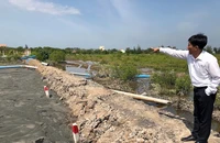 Tiền chuyển mục đích từ đất nông nghiệp sang đất ở được đề xuất giảm đến 70% với diện tích trong hạn mức.