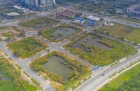 Cục Thuế TP.HCM thu hồi thông báo thuế 4 lô đất trúng đấu giá Thủ Thiêm