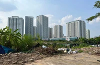 Vì sao Hà Nội chung cư mọc như nấm, trường học lại thiếu trầm trọng? 