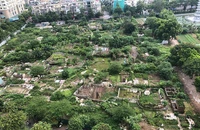 Hà Nội chỉ đạo chấm dứt, dừng hàng loạt dự án ôm đất, chậm triển khai