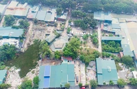 Đầm Bông (phường Định Công, Hoàng Mai, Hà Nội)
