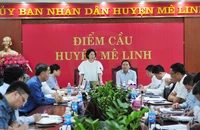 Giám đốc Sở Y tế Trần Thị Nhị Hà