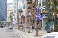 Cây xanh phố Huỳnh Thúc Kháng kéo dài