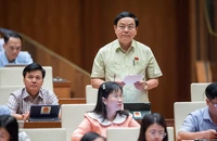 ĐBQH lại tranh luận về tách luật giao thông đường bộ