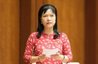 ĐBQH: Sao phải nhập khẩu điện khi điện gió, mặt trời trong nước không hoà mạng được?