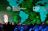 Dự COP28, Việt Nam chung tay với thế giới bảo vệ môi trường, ứng phó biến đổi khí hậu