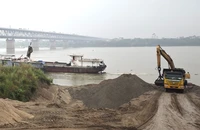 Hà Nội báo cáo Thủ tướng vụ 3 mỏ cát trúng đấu giá gấp trăm lần so với khởi điểm
