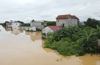 Hà Nội: Mưa lũ tràn đê, nhà cửa bị ngập, người dân chạy lũ 