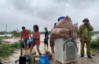 Lũ sông Hồng lên nhanh, Hà Nội khẩn cấp sơ tán dân 