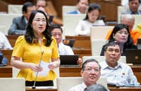Giá nhà ở tăng quá cao, bất thường do đâu?