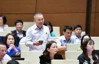 ĐB Nguyễn Lân Hiếu: Cứu trợ bão số 3, có nơi chôn hàng tấn thực phẩm...