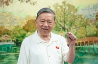 Tổng Bí thư Tô Lâm: Đấu thầu, chỉ quy trình thôi đã gần hết cả năm