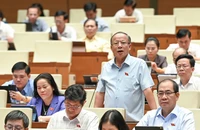 Đại biểu Quốc hội ý kiến về quy định cứng 1 quốc tịch sẽ gây khó cho kiều bào 