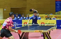 Bầu Hiển và tay vợt Lê Đình Đức: Câu chuyện nhân ái giữa đời thường thể thao