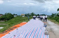 Hà Nội: Sụt lún đê hữu Cầu, cấm phương tiện qua lại