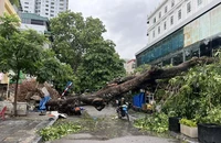 Chủ tịch Hà Nội ra công điện chỉ đạo ứng phó bão số 9