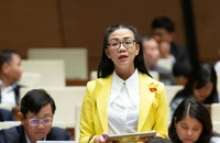 Đại biểu đề nghị quản lý chặt tài nguyên đất hiếm, tránh nguy cơ ô nhiễm phóng xạ