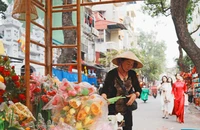 Hà Nội tái hiện chợ hoa Hàng Lược trăm năm tuổi tại phố cổ dịp xuân Bính Ngọ