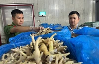 Khởi tố giám đốc buôn lậu 10.000 tấn chân gà đông lạnh