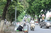 130 cây xanh chuẩn bị “nhường” chỗ cho đường sắt đô thị