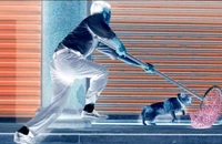 Đánh chết trộm chó, chủ nhà bị điều tra tội giết người