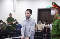 Bé gái 3 tuổi bị đóng đinh vào đầu: VKS đề nghị điều tra trách nhiệm người mẹ