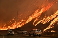 Do biến đổi khí hậu, nguy cơ cháy rừng ở California đã tăng gần gấp rưỡi