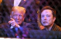 Ông Trump kỳ vọng ông Musk 'quyết liệt hơn' chuyện tinh giản và điều tra tham nhũng