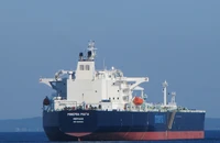Mỹ trừng phạt bổ sung Iran trước thềm vòng đàm phán mới