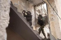 Diễn biến mới đáng ngại liên quan kế hoạch của Israel ở Gaza