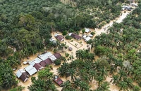 ẢNH-VIDEO: Indonesia chìm trong lũ dữ, 174 người chết và 79 mất tích