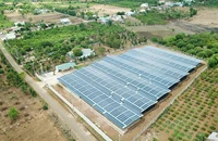 Sở Công Thương Gia Lai từ chối cung cấp danh sách sai phạm điện mái nhà