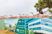 Tỉnh Gia Lai thu hồi chủ trương 4 dự án của 1 Tập đoàn 