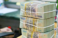 Nữ 9X 'thả mồi' đầu tư lãi cao, lừa đảo gần 7 tỉ đồng