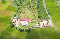 Gia Lai: Đình chỉ vụ án chủ 'biệt phủ' kiện chủ tịch TP Pleiku