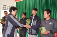 Tặng 10.000 cây sâm Ngọc Linh cho hộ nghèo ở Kon Tum 