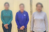 Bắt nhóm mua sổ hồng giả mang đi thế chấp