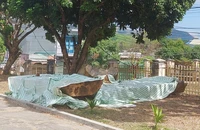 Vụ vớt gỗ lạ ở Kon Tum: Sau 1 năm vẫn chưa xác lập quyền sở hữu toàn dân