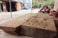 Vụ vớt gỗ lạ ở Kon Tum: Xác lập quyền sở hữu sau gần 1 năm xử phạt