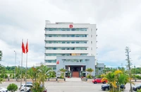 Miễn nhiệm chức vụ hai cán bộ thuộc Sở TN&MT tỉnh Kon Tum