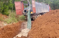 Tiêu hủy hơn 5,5 tấn cá tầm nhập lậu qua biên giới
