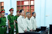 1 công ty thuê đất trồng rừng, 3 người bị tội hủy hoại rừng