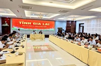 Gia Lai muốn chuyển đổi hơn 16.000 ha cao su chết, kém phát triển: Bộ trưởng NN&PTNT nói gì?