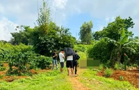 Đi câu cá, hoảng hốt phát hiện người đàn ông tử vong 