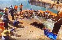 Công ty nêu nguyên nhân ban đầu gây sụt lún đập thủy lợi Ia Ring ở Gia Lai